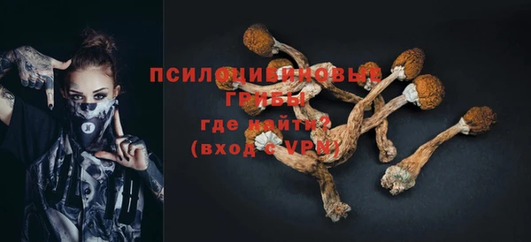 дживик Дмитровск