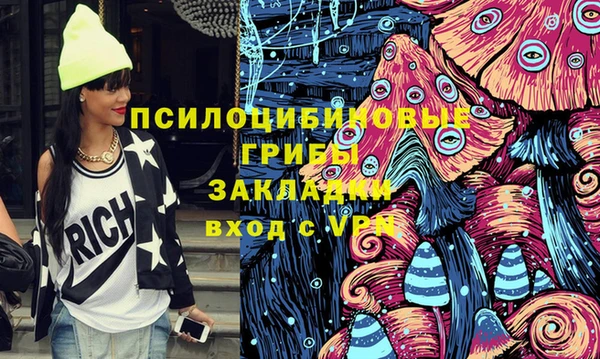 дживик Дмитровск
