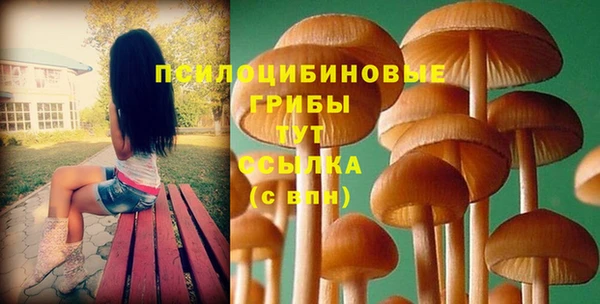 mix Дмитров