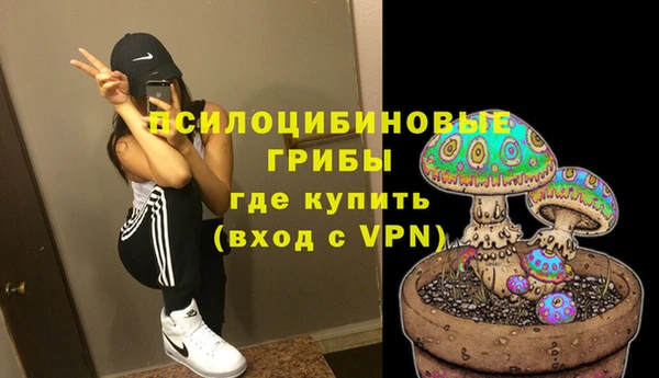 дживик Дмитровск