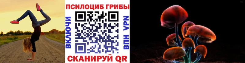 Псилоцибиновые грибы MAGIC MUSHROOMS  мега как зайти  Новошахтинск 