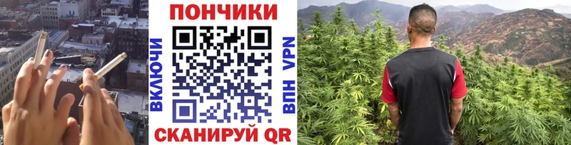 Марихуана план Новошахтинск